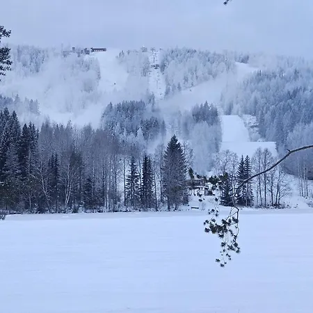 Сasa de vacaciones Lomahuoneisto Paritalossa Puustila B